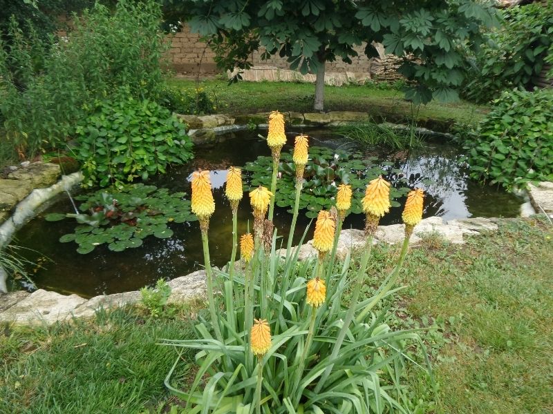 Aufbau von Gartenteichen
