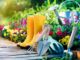 Tipps für die nachhaltige Gartengestaltung