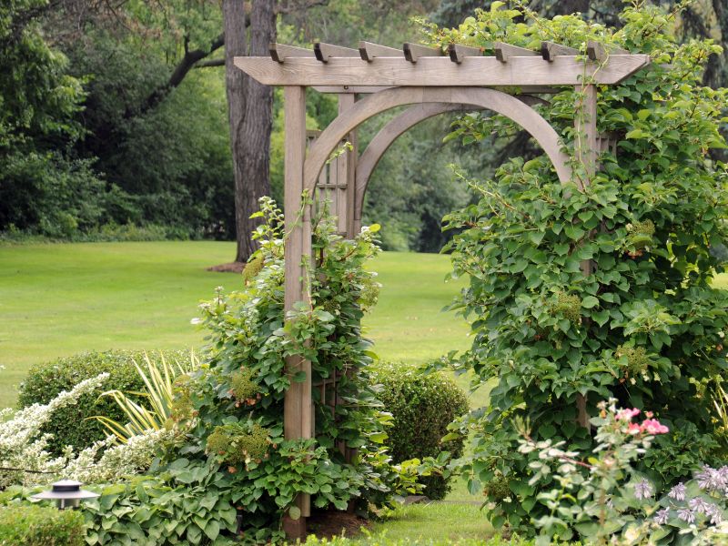 Gartengestaltung mit Holz: Tipps und Tricks