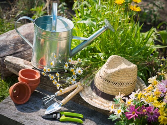 Tipps und Tricks: Wie man den Garten fürs Frühjahr startklar macht