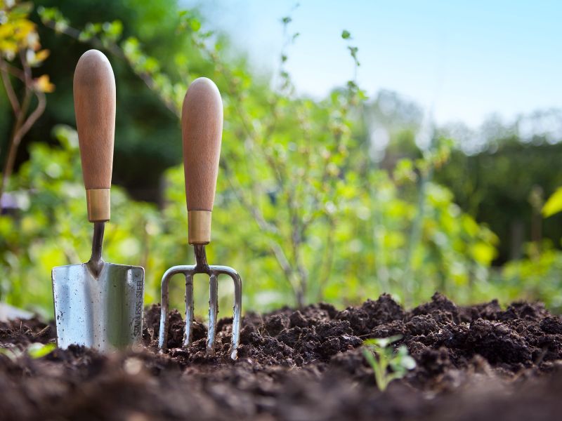 Vom Frühling in den Sommer: So bereitet man seinen Außenbereich optimal vor