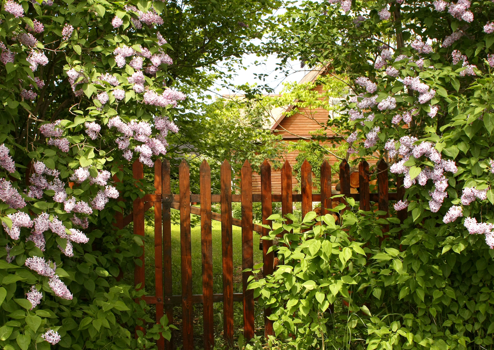 Der Traum von einem schönen Garten