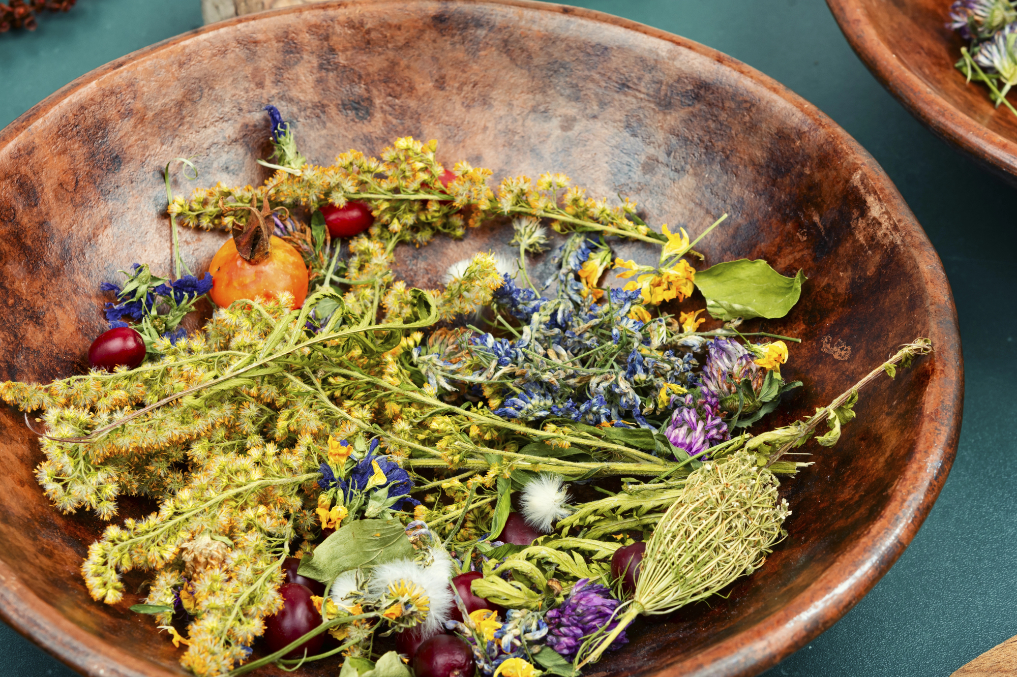 Natürliche Heilpflanzen für den Garten: Diese Kräuter und Pflanzen fördern Gesundheit und Wohlbefinde